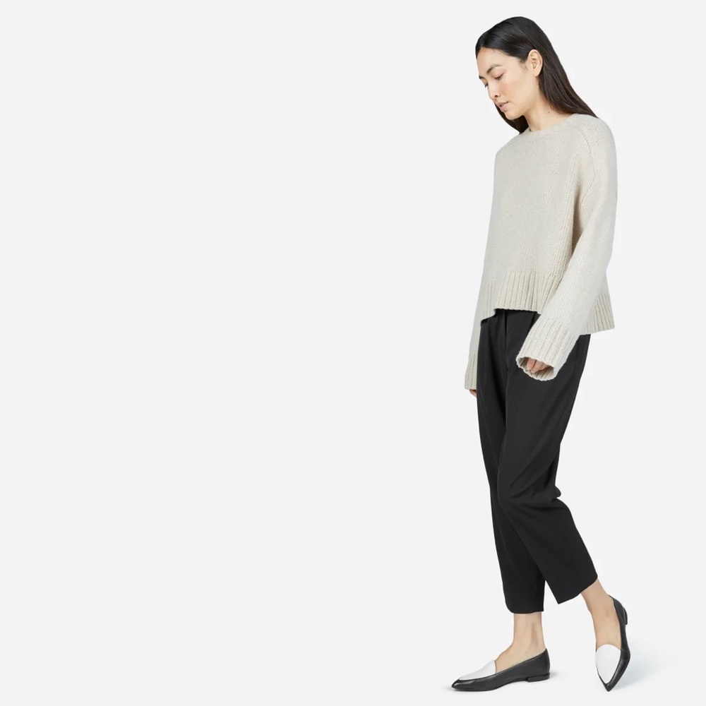 EVERLANE The Modern Point flat